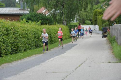 image11